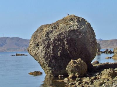 Прикрепленное изображение: DSCF7915.jpg